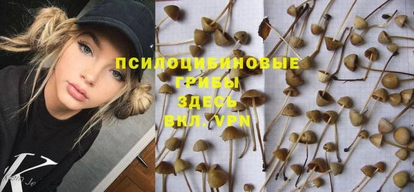 гашик Абдулино