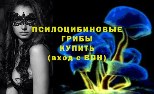 эйфоретик Абинск