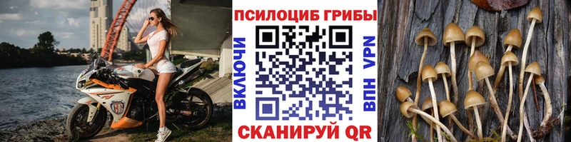 Галлюциногенные грибы GOLDEN TEACHER что такое Приволжск